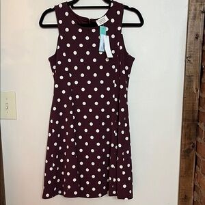 Crescent Cielia Textured Knit Dress Stitch Fix NWT Burgundy Size L